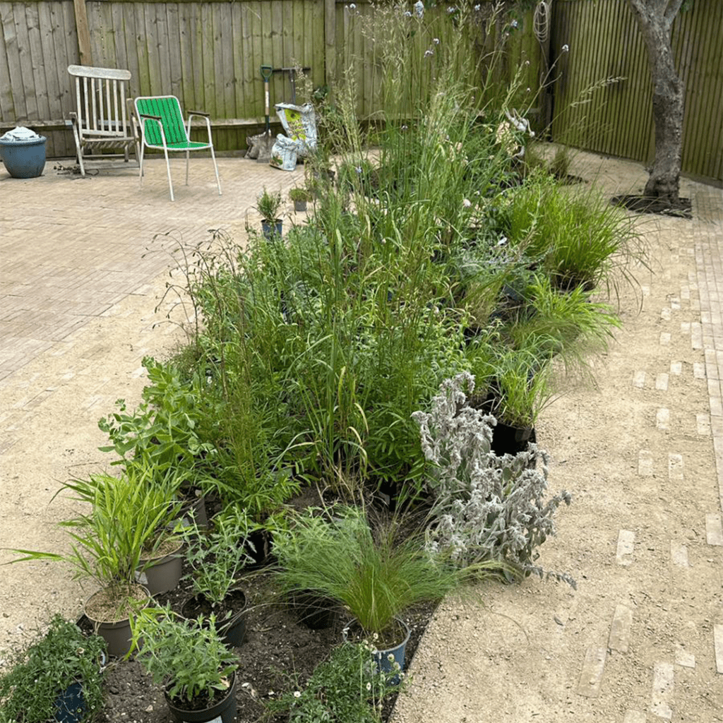 Garden Renovation